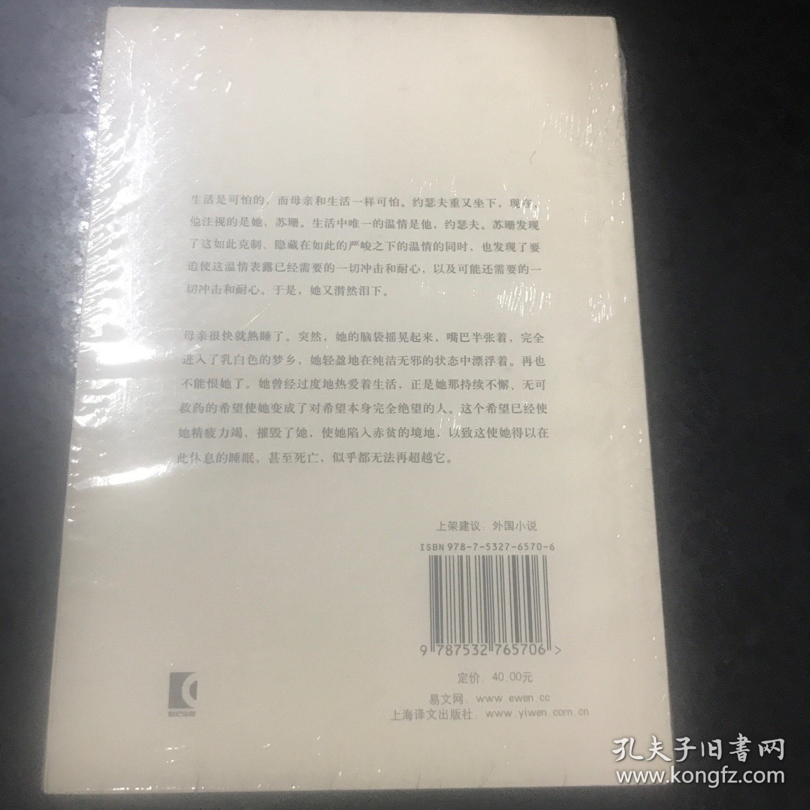 杜拉斯百年诞辰作品系列：抵挡太平洋的堤坝