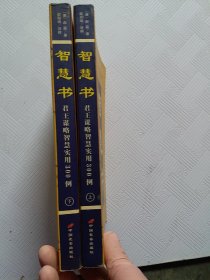 智慧书:君王谋略智慧实用300例（小16开24）