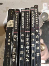 生命的真意：奥修人生箴言系列