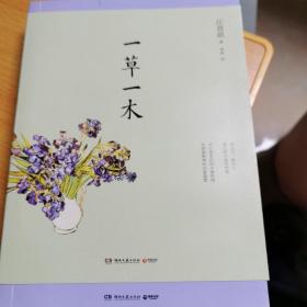 一草一木：汪曾祺作品集·插图珍藏本3