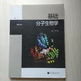 基础分子生物学