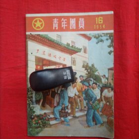 青年团员（1954年第16期）