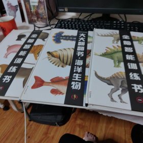 法国 全脑智能训练书 恐龙 动物之美 海洋生物三册合售