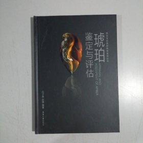 琥珀鉴定与评估