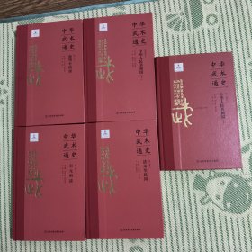 中华武术通史 全5册