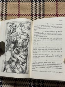 【英文】 The Regional Accounts Director of Firetop Mountain（精装插画本） 品相自鉴