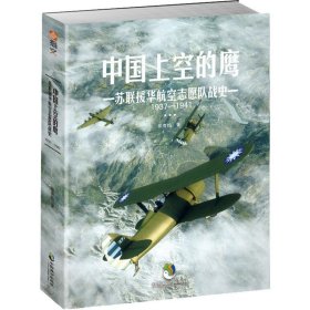 中国上空的鹰 : 苏联援华航空志愿队战史 : 1937—1941