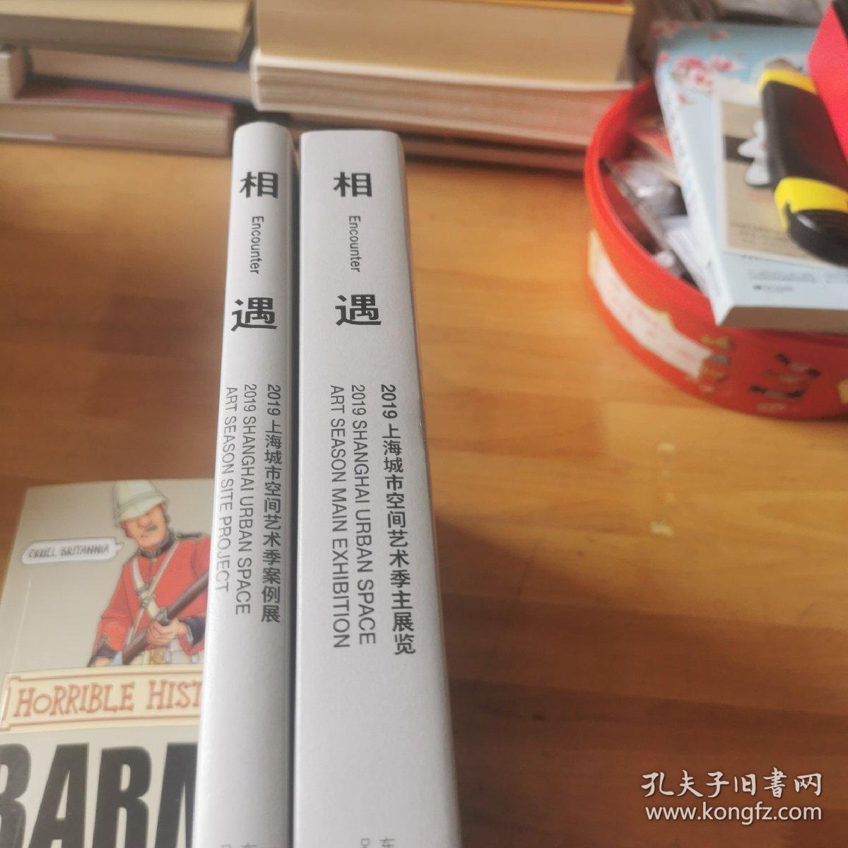 相遇：2019上海城市空间艺术季主展览·案例展