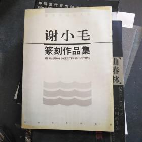 谢小毛篆刻作品集