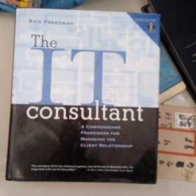 The IT Consultant（附CD一张）