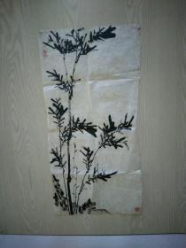 佚名老画《墨竹》，笔墨老练，寓意深长...
