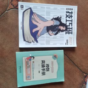 陆寓丰腿姐考研政治2023系列：技巧班讲义，冲刺背诵手册两本合售