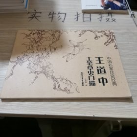 中国名家技法经典：王道中工笔草虫白描