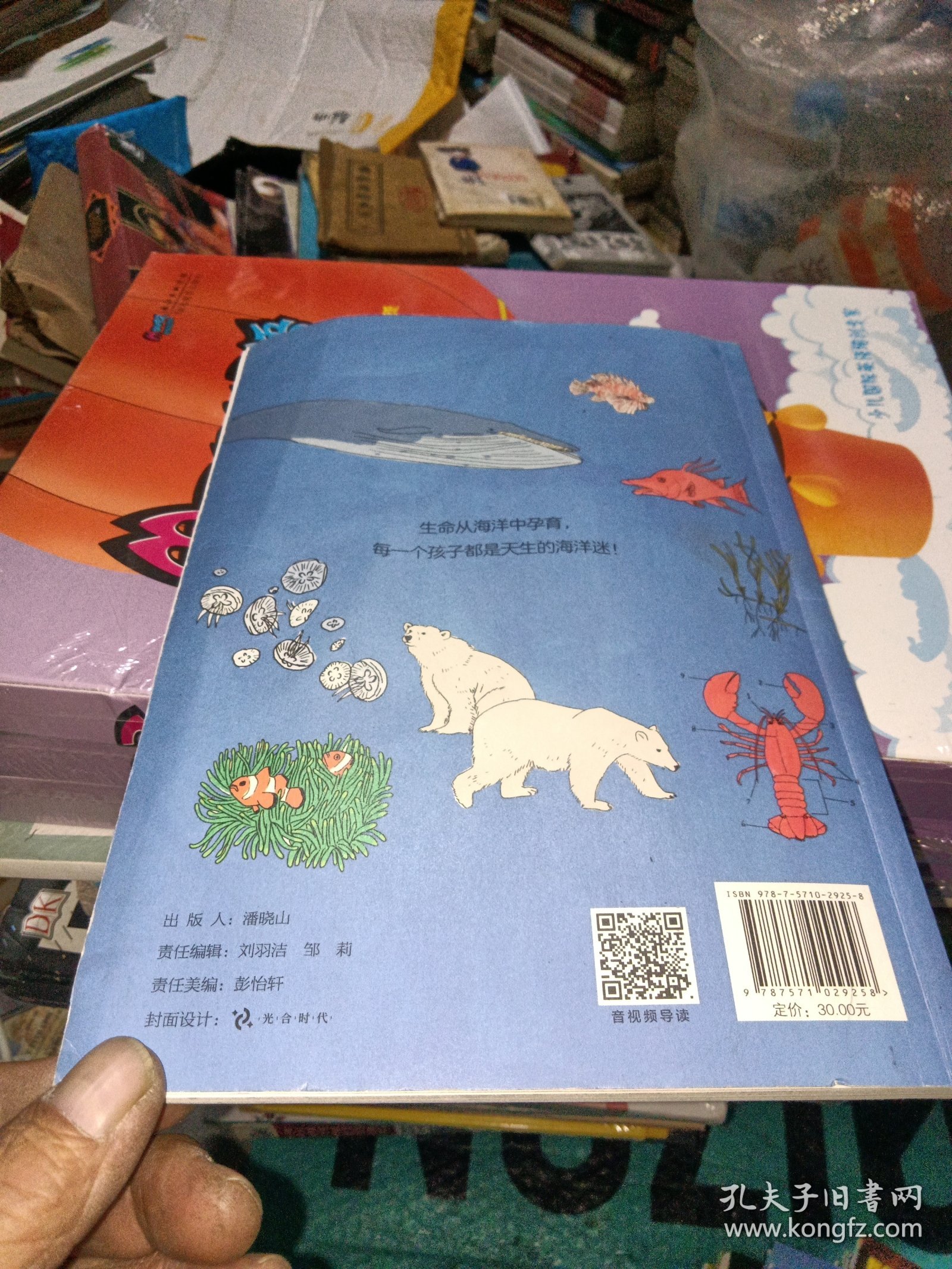 点击查看原图 海洋解剖笔记