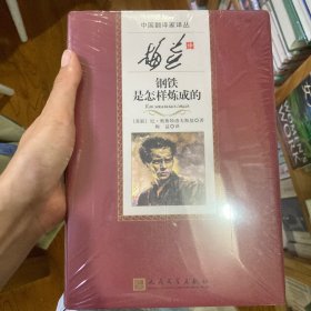 中国翻译家译丛 梅益译钢铁是怎样炼成的（全新正版闲置）