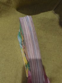 少年狂侠（7本合售）