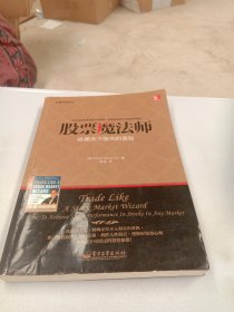 交易大师系列 股票魔法师——纵横天下股市的奥秘