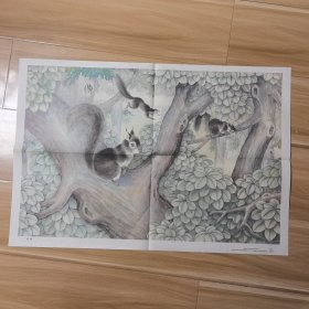 松鼠