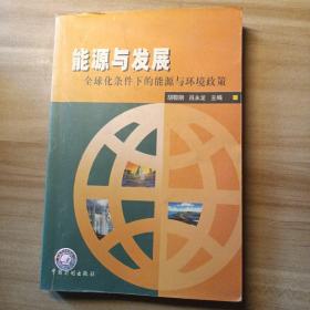 能源与发展:全球化条件下的能源与环境政策