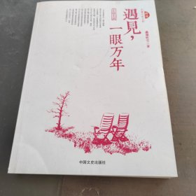 遇见，一眼万年（跨度长篇小说文库）