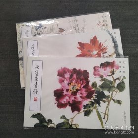 全3册荣宝斋画谱237,238.239王雪涛绘花卉部分绘草虫部分绘禽鸟部分 画册画集 全三册