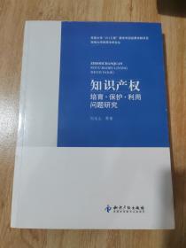 海南大学民商法文丛：知识产权培育·保护·利用问题研究
