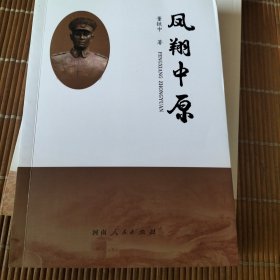 凤翔中原