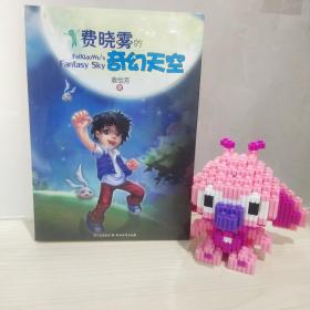 正版塑封 费晓雾的奇幻天空