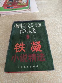 铁凝小说精选