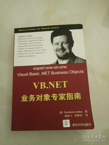 VB.NET业务对象专家指南