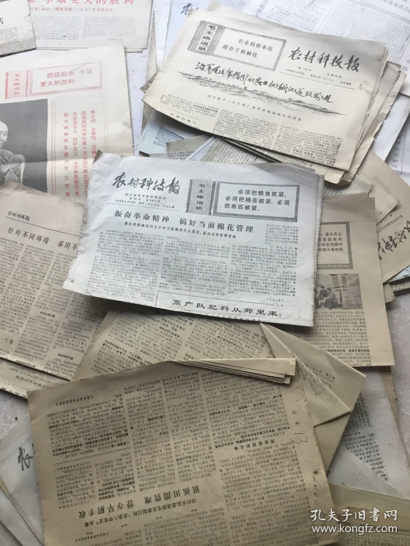 浙江农村科技报50份