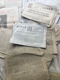 浙江农村科技报50份