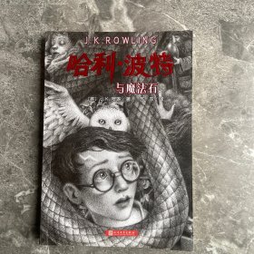 哈利波特与魔法石