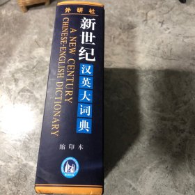 新世纪汉英大词典