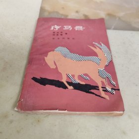 疗马录（前面版权页被撕掉，有些过于干燥）