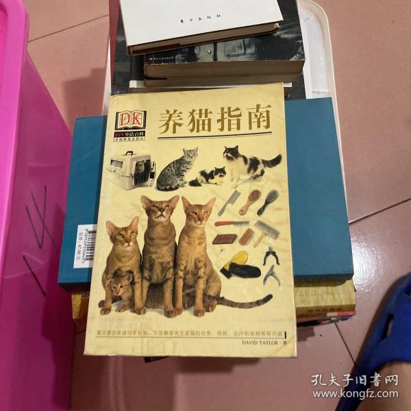 养猫指南