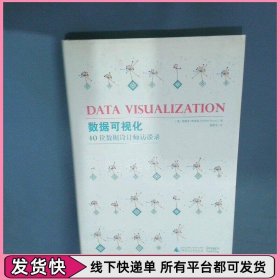 數(shù)據(jù)可視化 40位數(shù)據(jù)設(shè)計師訪談錄