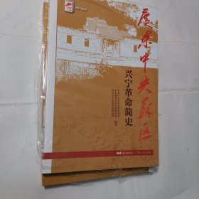 红色广东丛书：广东中央苏区兴宁革命简史