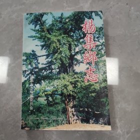 杨集乡志 (湖北省京山县)