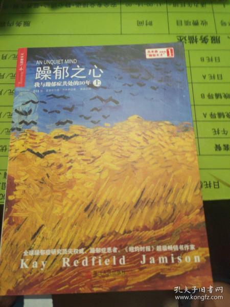 躁郁之心：我与躁郁症共处的30年(上)