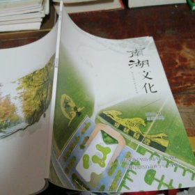 南湖文化2020/3（嘉兴主城区的文化专刊）