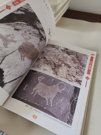 已丑贺岁