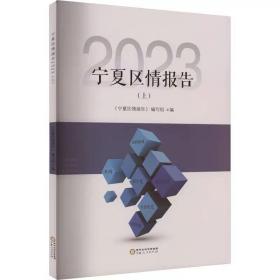 宁夏区情报告 2023(上) 宁夏人民出版社，编写组 编