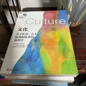 文化：关于社会、艺术、权利和技术的新科学