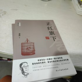 （全十册）老舍作品全集：骆驼祥子+茶馆+龙须沟+我这一辈子+四世同堂+猫城记+正红旗下+济南的冬