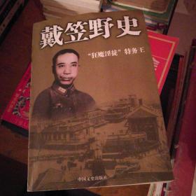 戴笠野史