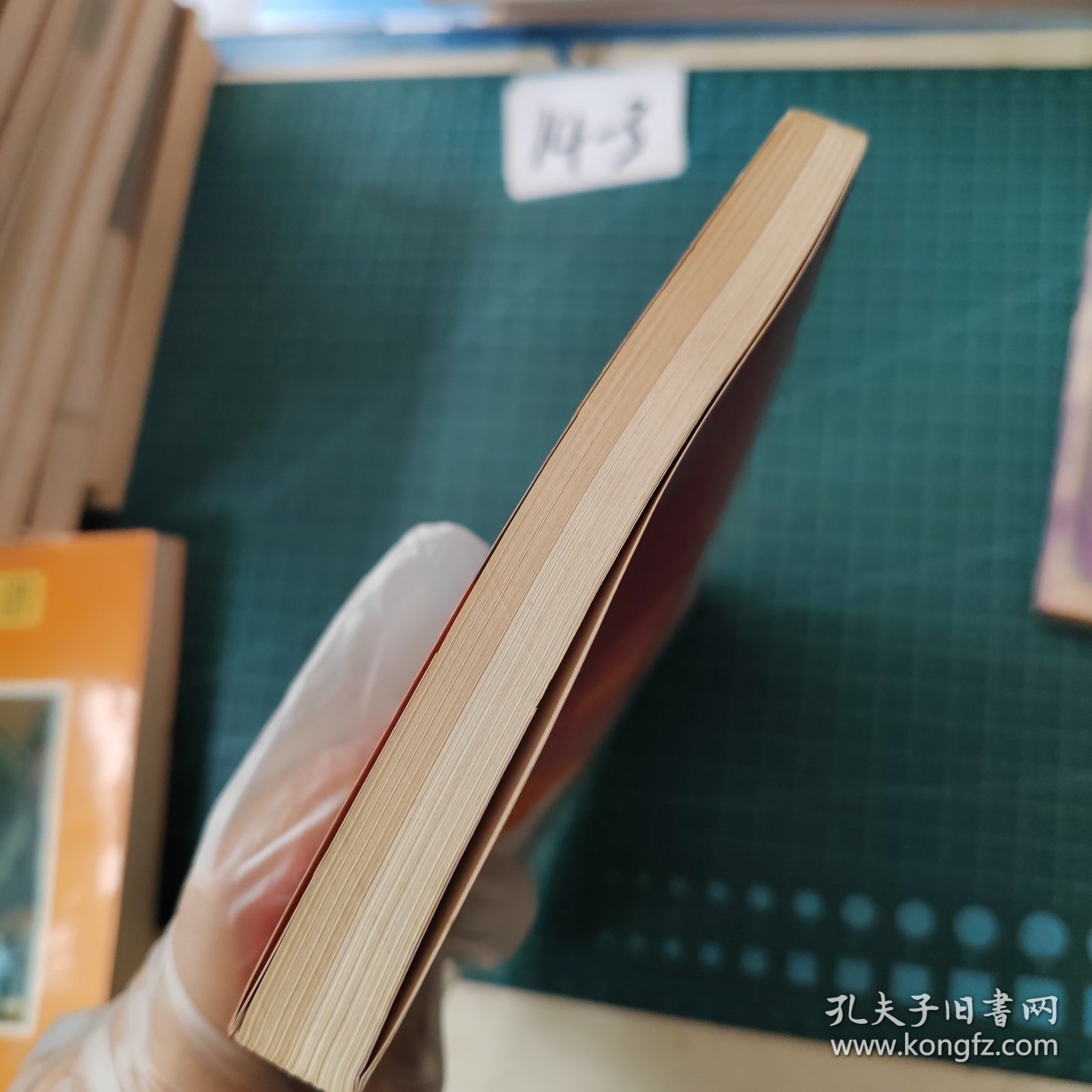 国强而自强之路--雏鹰争章研究与操作