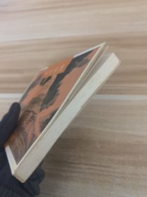 天涯侠侣（二）