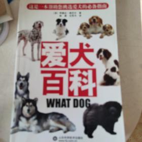 爱犬百科