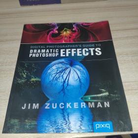 DigitalPhotographer'sGuidetoDramaticPhotoshopEffects